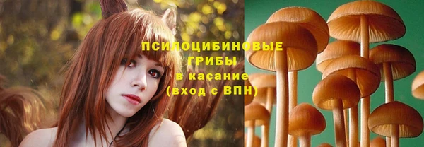 гашик Алзамай