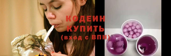 индика Зеленодольск